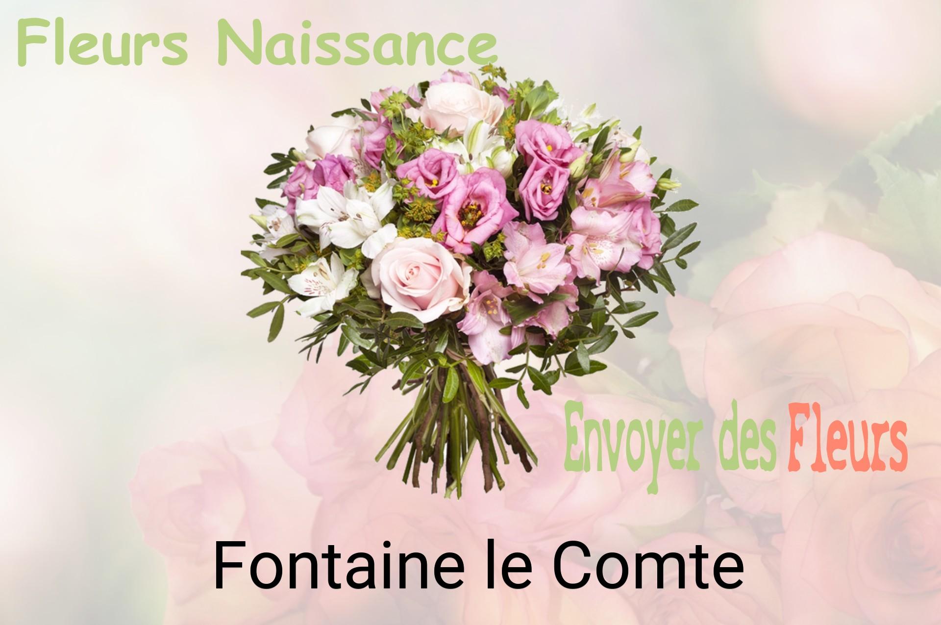 Bouquet de fleurs de naissance livré à Fontaine-le-Comte